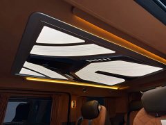 Ford Watson Wilford Black Warrior 2023 2.0T Gasoline Standard Edition - ფოტო 9