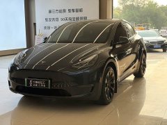 Tesla Model Y Long Range All-Wheel Drive - ფოტო 1