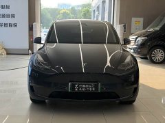 Tesla Model Y Long Range All-Wheel Drive - ფოტო 2