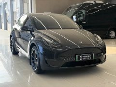 Tesla Model Y Long Range All-Wheel Drive - ფოტო 3