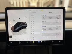 Tesla Model Y Long Range All-Wheel Drive - ფოტო 9