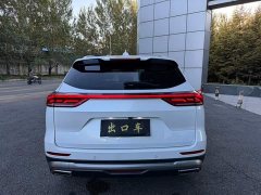 Haval H6 2021 National Trend 1.5T Automatic Champion Edition - ფოტო 5