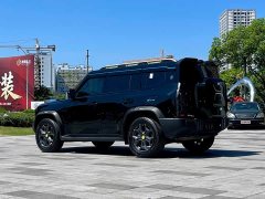 Jetour Jietu Traveler 2023 2.0T AWD Traverse PRO - ფოტო 5
