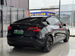 Tesla Model Y Rear-Wheel Drive - ფოტო 11