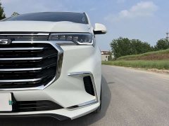 Maxus G20 ES 2.0T Gasoline Automatic Value Edition - ფოტო 16