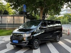 Ruifeng M3 PLUS Home High-Power 1.5T Luxury - ფოტო 1