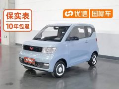 Wuling Hongguang MINIEV 2022 Easy Edition LFP Battery - ფოტო 1