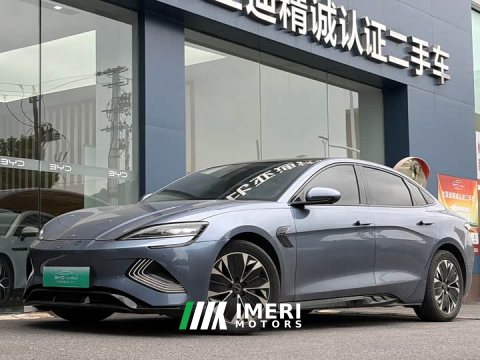 2022 BYD Dolphin 550km Standard Range RWD Luxury - ავტომობილი ჩინეთიდან