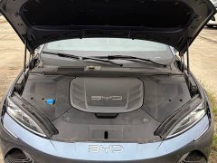 BYD Dolphin 550km Standard Range RWD Luxury - ფოტო 12