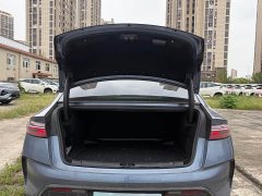 BYD Dolphin 550km Standard Range RWD Luxury - ფოტო 13