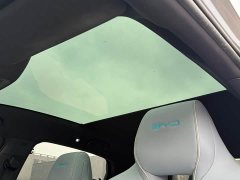 BYD Dolphin 550km Standard Range RWD Luxury - ფოტო 19