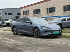 BYD Dolphin 550km Standard Range RWD Luxury - ფოტო 3