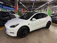Tesla Model Y Long Range All-Wheel Drive 3D7 - ფოტო 1