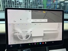 Tesla Model Y Long Range All-Wheel Drive 3D7 - ფოტო 11