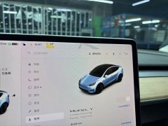 Tesla Model Y Long Range All-Wheel Drive 3D7 - ფოტო 13