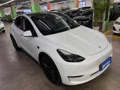 Tesla Model Y Long Range All-Wheel Drive 3D7 - ფოტო 2