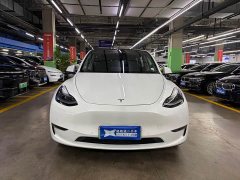 Tesla Model Y Long Range All-Wheel Drive 3D7 - ფოტო 3