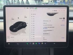 Tesla Model 3 2022 Rear-Wheel Drive - ფოტო 19