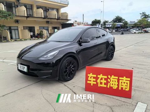 2021 Tesla Model Y Standard Range RWD - ავტომობილი ჩინეთიდან