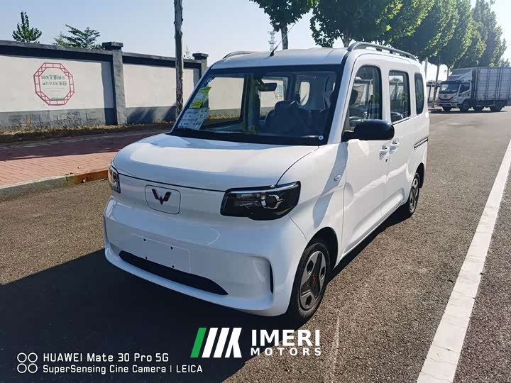 Wuling Zhiguang New Energy 305km Aspiring Edition
