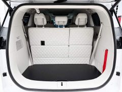 Buick GL8 New Energy Luxe Premium 7-Seater - ფოტო 14