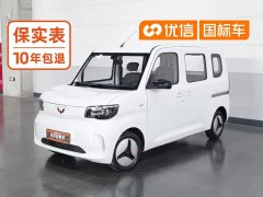 Wuling Zhiguang New Energy 201km Standard - ფოტო 1