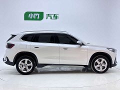 BMW X1 sDrive20Li X Design Package - ფოტო 8