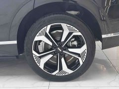Great Wall WEY Blue Mountain 2023 Four-Wheel Drive Extended Range Version - ფოტო 14