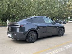 Tesla Model Y Rear-Wheel Drive - ფოტო 5