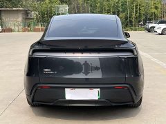 Tesla Model Y Rear-Wheel Drive - ფოტო 6
