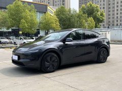 Tesla Model Y Rear-Wheel Drive - ფოტო 8