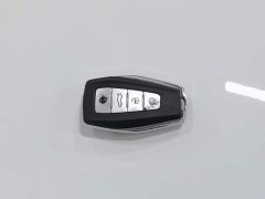 Geely Emgrand GL UP 1.4T CVT Leading Luxury - ფოტო 19