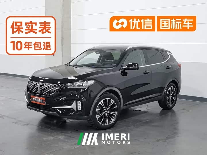 Great Wall WEY VV6 2.0T Two-Wheel Drive Smart Protection - ავტომობილი ჩინეთიდან