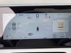 BYD Song Pro New Energy 2nd Gen DM-i 115KM Excellence - ფოტო 15