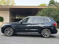 BMW X3 xDrive30i Premier M Sport Package - ფოტო 17