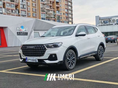 2024 Haval H6 2023 National Trend Edition 1.5T Automatic Champion Version - ავტომობილი ჩინეთიდან