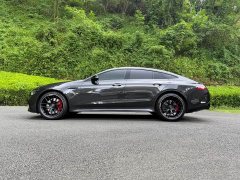 Mercedes-Benz AMG GT AMG GT 50 Four-Door Coupe China Special Edition - ფოტო 3