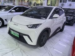 BYD Seagull 305km Vitality Edition - ფოტო 1