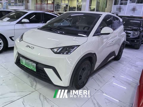 2025 BYD Seagull 305km Vitality Edition - ავტომობილი ჩინეთიდან