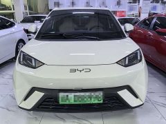 BYD Seagull 305km Vitality Edition - ფოტო 2