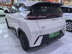 BYD Seagull 305km Vitality Edition - ფოტო 4