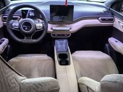 BYD Seagull 305km Vitality Edition - ფოტო 8