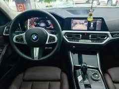 BMW 3 Series 320Li M Sport Package - ფოტო 11