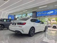 BMW 3 Series 320Li M Sport Package - ფოტო 7