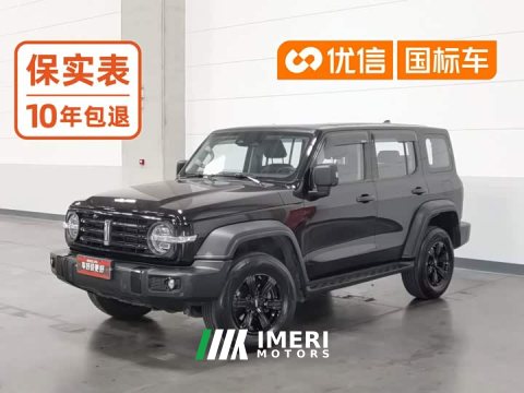 2021 Tank 300 Off-Road Edition 2.0T Conqueror - ავტომობილი ჩინეთიდან
