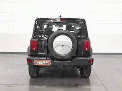 Tank 300 Off-Road Edition 2.0T Conqueror - ფოტო 4
