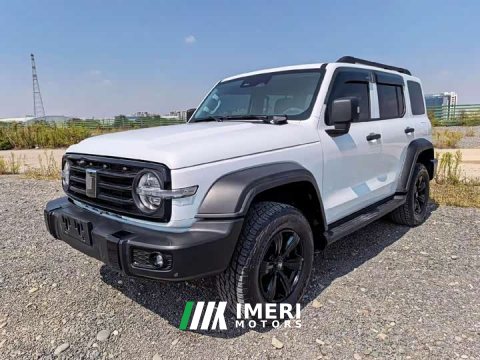 2022 Tank 300 2021 Off-Road Edition 2.0T Conqueror - ავტომობილი ჩინეთიდან