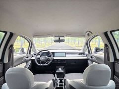 Geely Geometry E Firefly 2024 301km Aurora - ფოტო 20