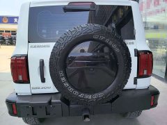 Tank 300 Off-Road Edition 2.0T Challenger - ფოტო 5