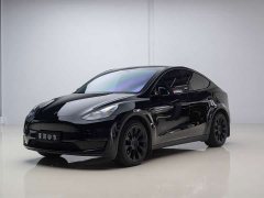 Tesla Model Y Long Range All-Wheel Drive - ფოტო 1